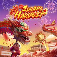 Spring Harvest TRIBUN855