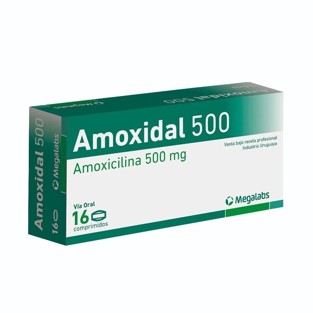AMOXIDAL 500 MG 16 COMP