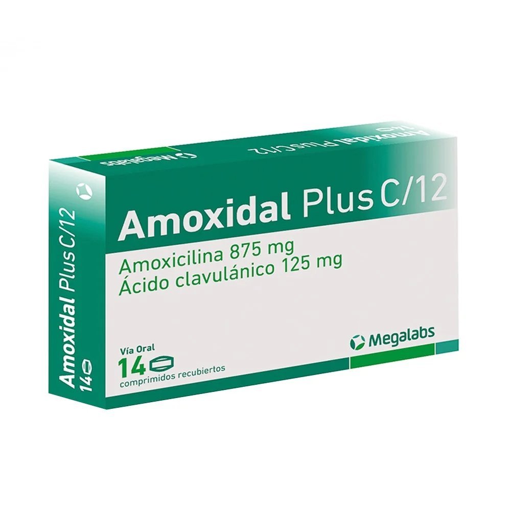 AMOXIDAL PLUS C12 14 COMP