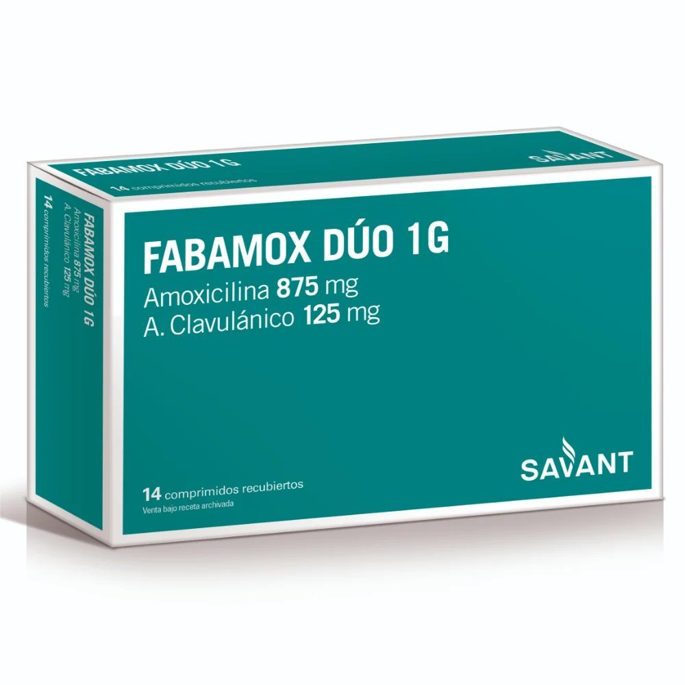 FABAMOX DUO 1 GR 14 COMP